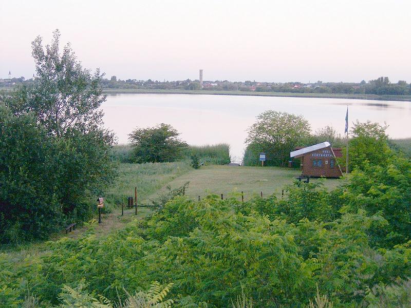 2010.07.08. 031.jpg